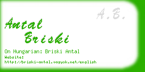 antal briski business card